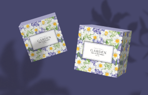 Zinna Soap | Product Packaging Design
